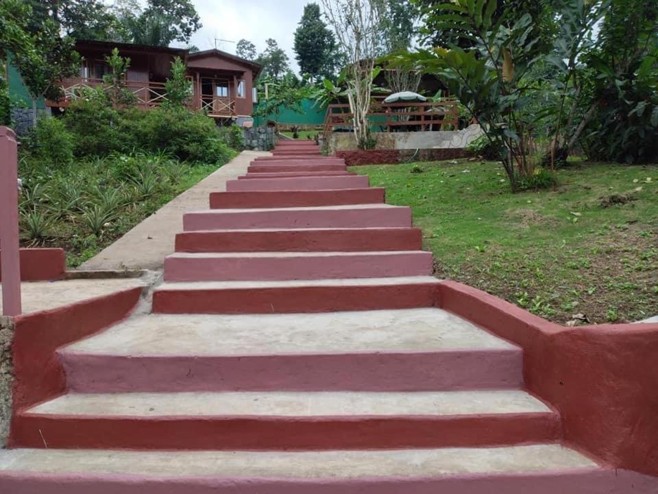 Guest House Quinta Natural Bangalots Graca Dış mekan fotoğraf