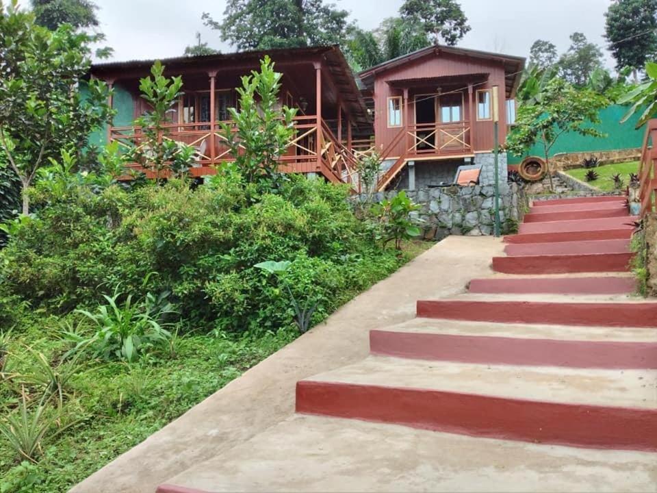 Guest House Quinta Natural Bangalots Graca Dış mekan fotoğraf